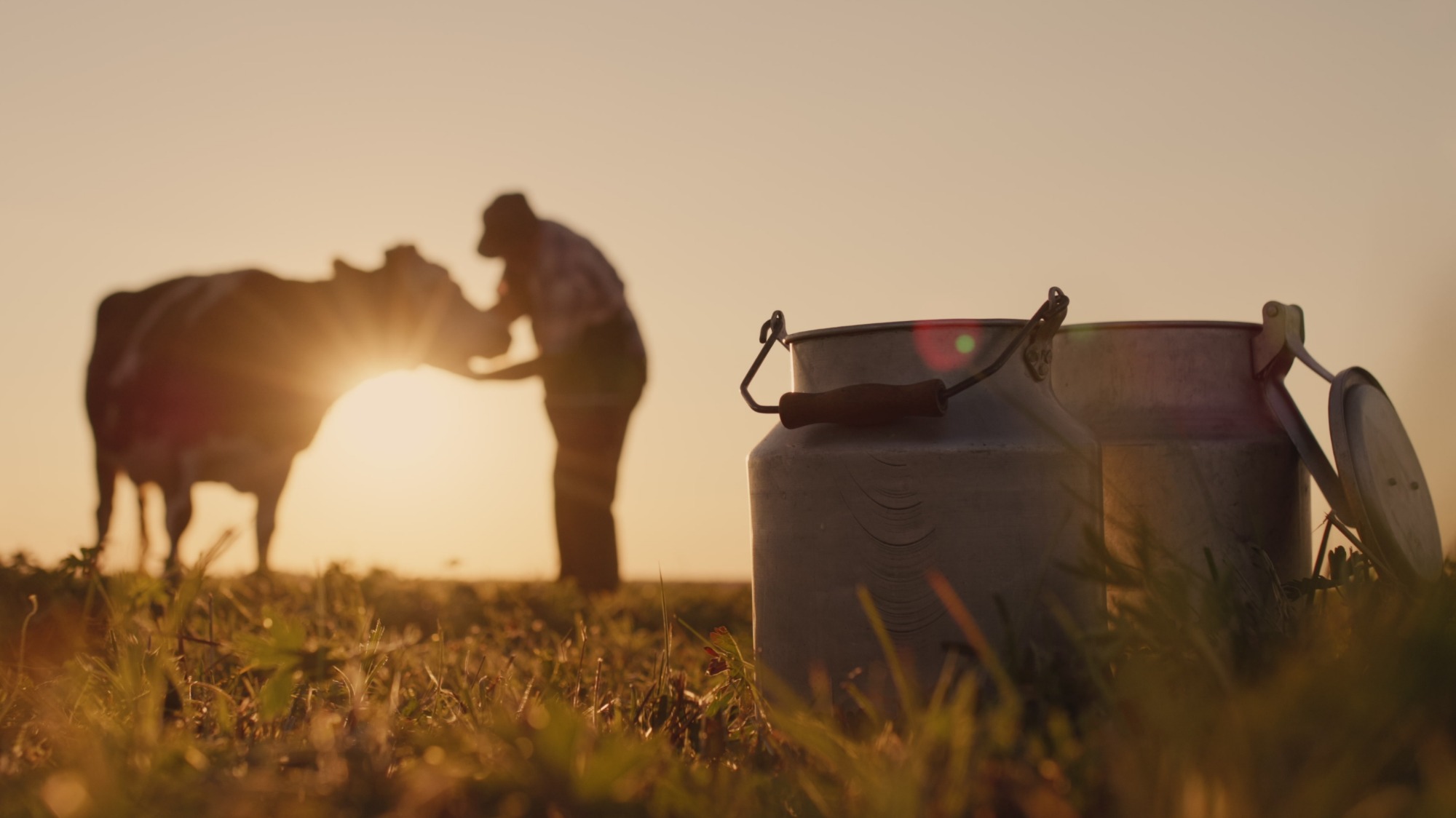 Komplexní služby
chovatelům
hospodářských zvířat