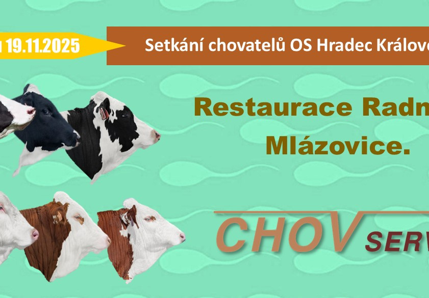 Setkání chovatelů OS HK a Jičín 19.11.2025