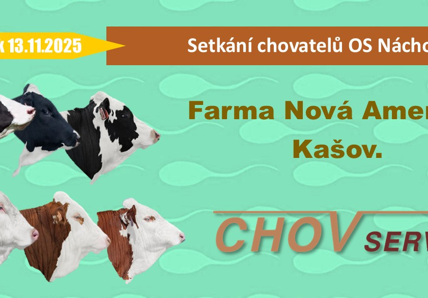 Setkání chovatelů OS Náchod 13.11.2025